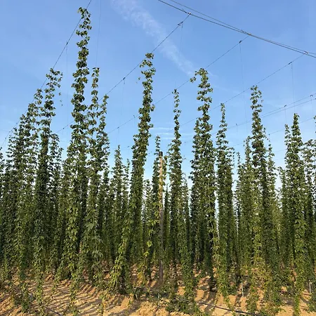 Crak Tenuta Bembo Farma Curtarolo